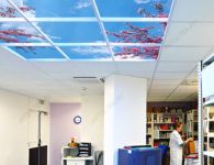 В магазинах и офисах