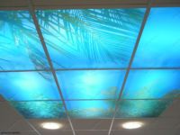 В магазинах и офисах